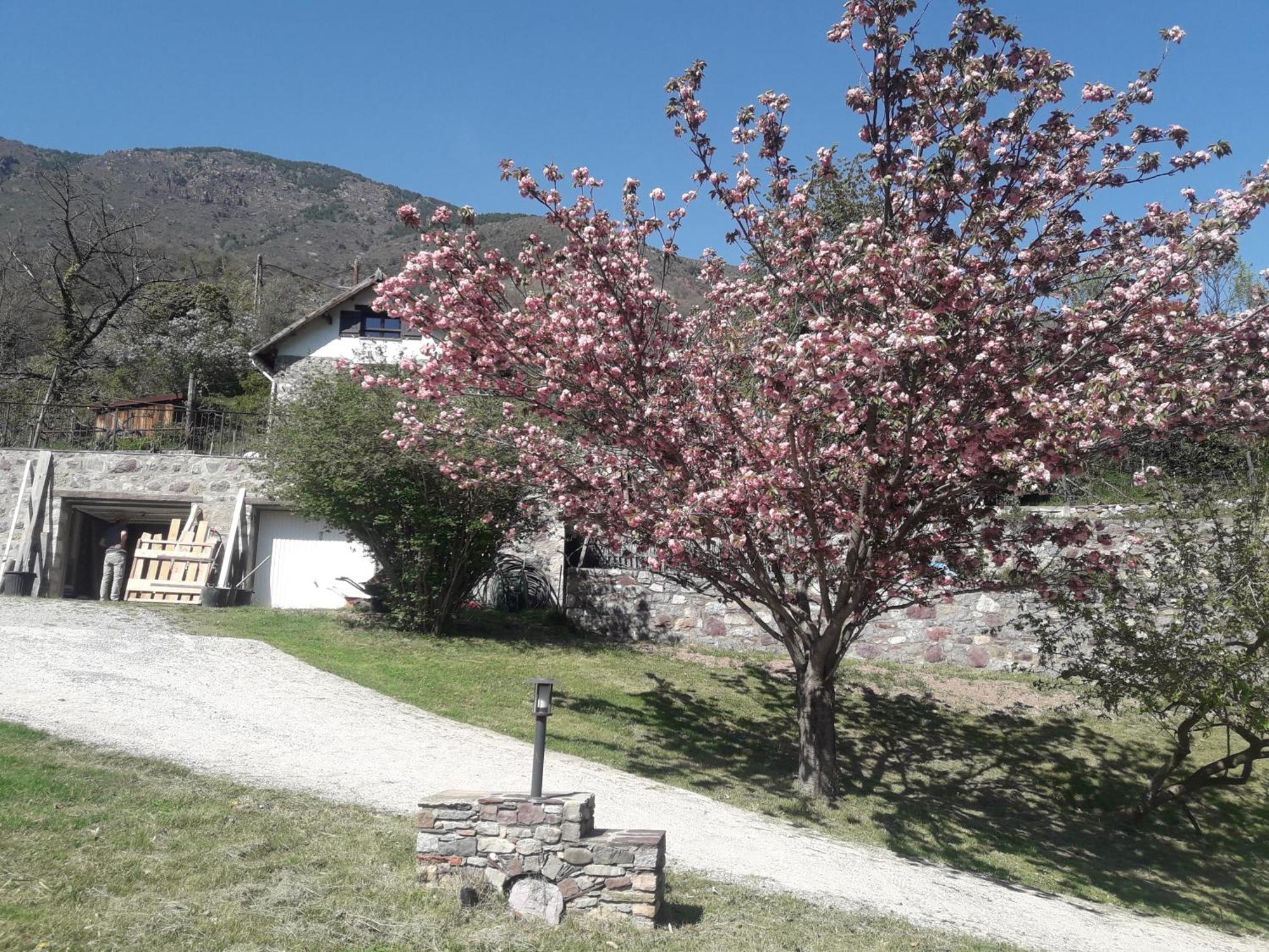 La Petite Chataigne Valdeblore Εξωτερικό φωτογραφία
